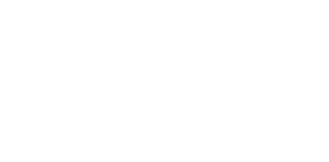 Phoenix Visual Pro